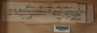 Image Associated With the Occurence